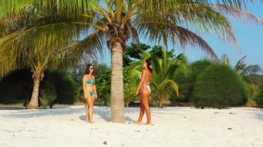 Bikinili iki genç kız arkadaş kumlu deniz kıyısında palmiye ağacının altında güneşleniyor ve konuşuyor. Tropik tatil köyünde dinlenen güzel kadınlar    