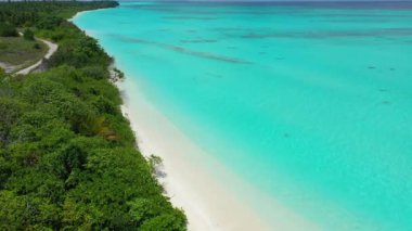 Çevresinde yeşil ada olan turkuaz sığ su, insansız hava aracı manzaralı. Antigua, Atlantik Okyanusu 'na Seyahat.