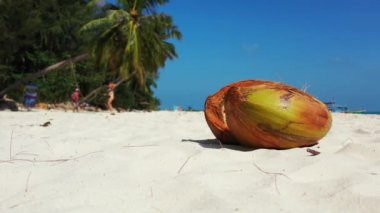 Sahilde kırılmış hindistan cevizi. Malezya, Asya 'da yaz tatili.