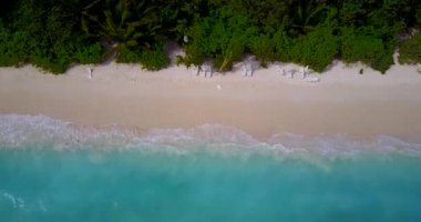 Güneşli sahil manzarası. Bahamalar cennet sahnesi, Karayipler. 