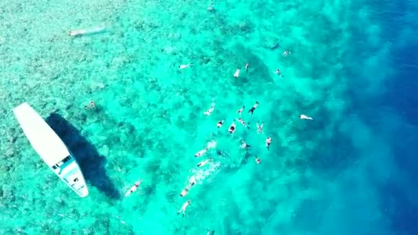 Turisti Che Fanno Snorkeling Acqua Mare Vacanze Estive Bali Indonesia — Video Stock