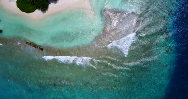Paesaggio Marino Dai Colori Vivaci Viaggio Esotico Alle Barbados Caraibi — Video Stock