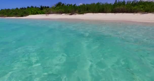 Wybrzeże Kryształową Wodą Zielonymi Drzewami Tropikalny Charakter Bahamów Karaibów — Wideo stockowe