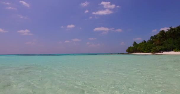 Serene Zeegezicht Ochtend Tropisch Paradijs Van Barbados Caribisch Gebied — Stockvideo