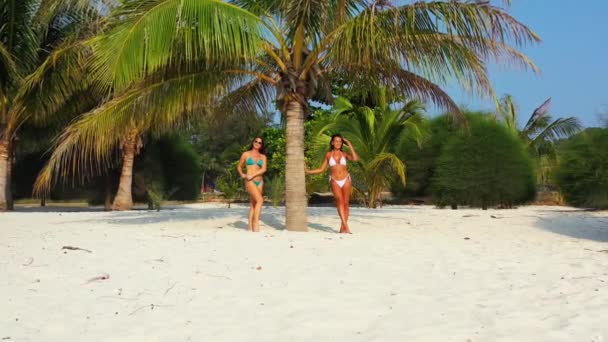 Dos Amigas Jóvenes Bikini Pie Costa Arenosa Bajo Palmera Tomando — Vídeo de stock
