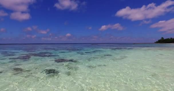 Rano Czysta Linia Brzegowa Egzotyczna Podróż Barbados Karaiby — Wideo stockowe