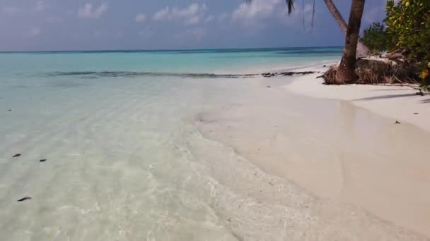 Klares Meerwasser Auf Tropischer Insel Indonesien — Stockvideo