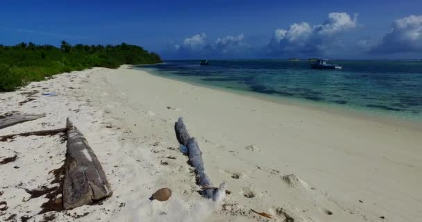 Beira Mar Azul Durante Verão Natureza Ensolarada Bora Bora Polinésia — Vídeo de Stock