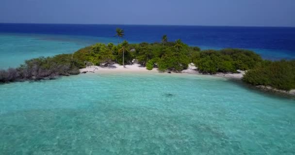 Green Island Turquoise Sea Drone View Viaje Filipinas Asia — Vídeos de Stock