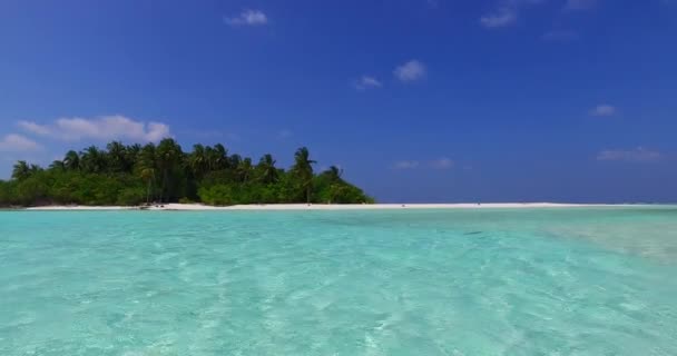 Mare Sereno Mattino Natura Della Repubblica Dominicana Caraibi — Video Stock