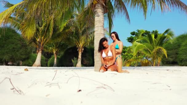 Duas Jovens Amigas Biquíni Sentadas Costa Mar Arenoso Sob Palmeira — Vídeo de Stock