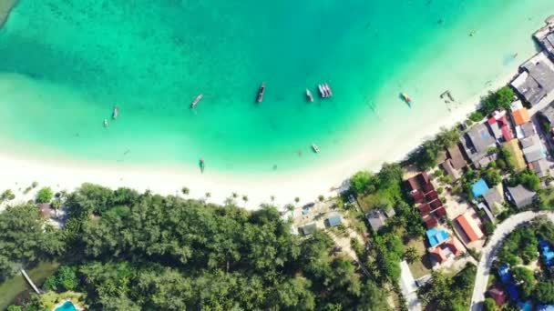 Łodzie Zadokowały Zielonej Letniej Wyspie Tropikalny Charakter Bahamów Karaibów — Wideo stockowe