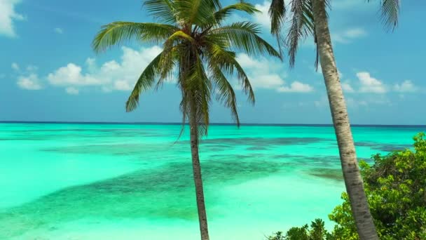 Doğal Deniz Manzarası Bora Bora Daki Tropik Cennet Fransız Polinezyası — Stok video