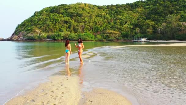 Duas Jovens Amigas Biquíni Água Mar Uma Rapariga Ligar Para — Vídeo de Stock
