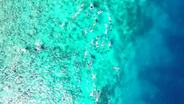 Turistas Nadando Buceando Agua Transparente Disfrutando Vacaciones Tropicales Bali Indonesia — Vídeo de stock