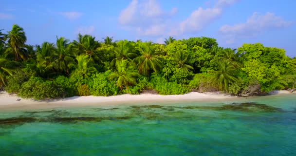 Island Area Daytime Tropical Paradise Bora Bora French Polynesia — Stock Video