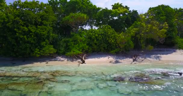 Costa Isla Durante Día Vista Panorámica Del Paisaje Marino Bali — Vídeo de stock