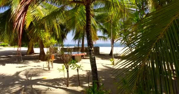 Blick Auf Hohe Grüne Bäume Strand Sommerentspannung Auf Bali Indonesien — Stockvideo