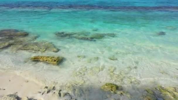 Kryształowa Woda Morska Brzegu Tropikalny Raj Bora Bora Polinezja Francuska — Wideo stockowe