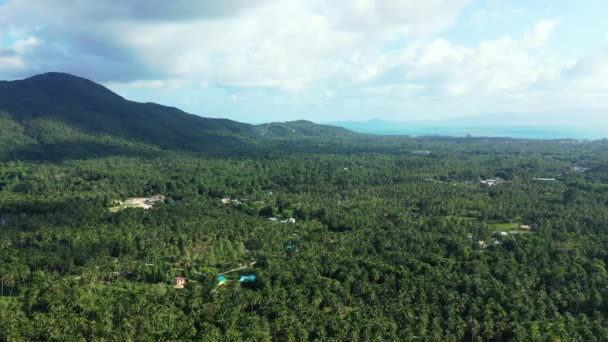Thaïlande Décor Avec Des Montagnes Verdoyantes Mer Sur Fond — Video