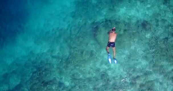 Genç Adam Turkuaz Üzerinde Yüzüyor Şnorkelle Yüzüyor Karayip Denizi Nin — Stok video