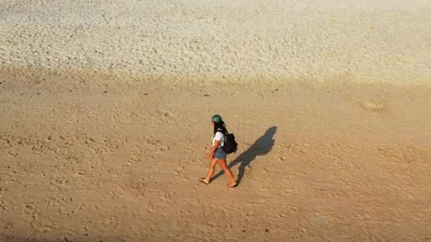 해변을 배낭을 관광객 여름철 — 비디오