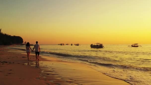 Uitzicht Een Paar Wandelen Het Zandstrand Avond — Stockvideo