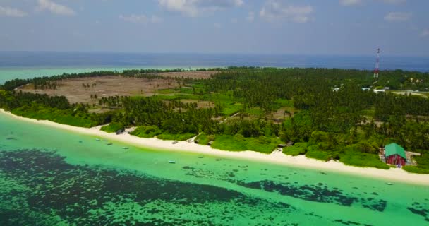 Verde Sazonal Durante Dia Paisagem Havaí Eua — Vídeo de Stock