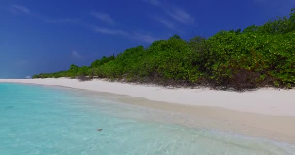 Aceite Litoral Mediodía Viaje Bora Bora Polinesia Francesa — Vídeos de Stock