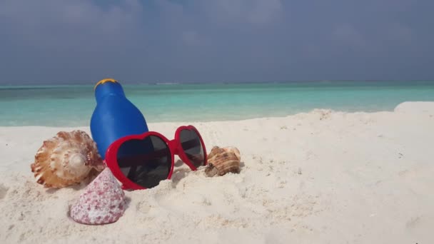 Napszemüveg Testápolóval Kagylóval Parton Trópusi Kirándulás Barbadosra Karib Szigetekre — Stock videók