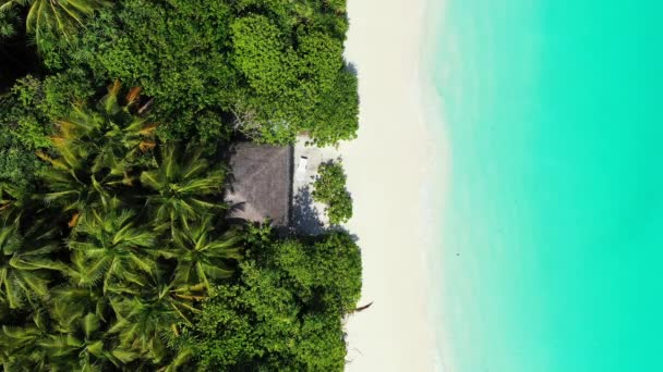 Vibrerande Turkosa Havet Kantande Bahamas Idyllisk Scen Karibien — Stockvideo