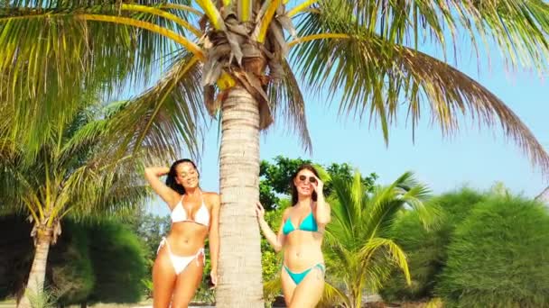 两个穿着比基尼的年轻女友站在棕榈树下的沙滩海岸上 晒日光浴 聊着天 美丽的女人在热带度假胜地休息 — 图库视频影像