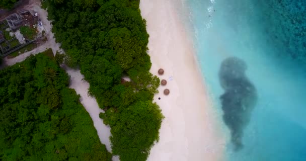 Deniz Sahnesi Endonezya Nın Idyllic Doğası — Stok video