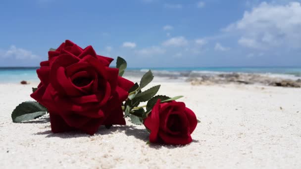 Rose Rosse Sulla Spiaggia Viaggio Tropicale Alle Barbados Caraibi — Video Stock
