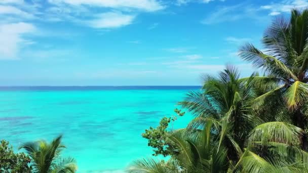 Exotisk Natur Bora Bora Franska Polynesien — Stockvideo