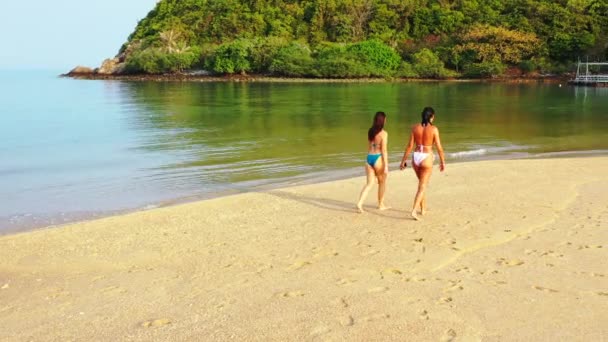 Zwei Junge Freundinnen Bikini Spazieren Einem Schönen Tag Der Küste — Stockvideo