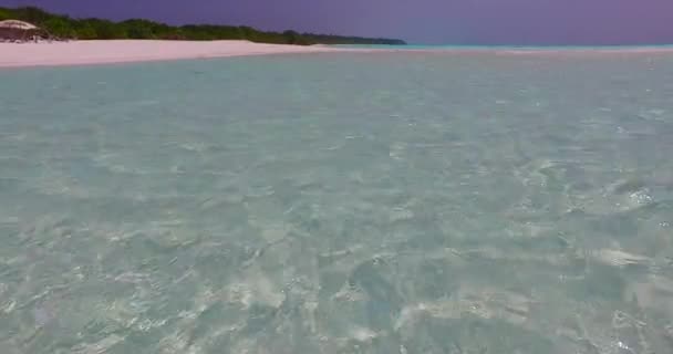 朝になると海岸線がきれいになる カリブ海のバルバドスへのエキゾチックな旅 — ストック動画