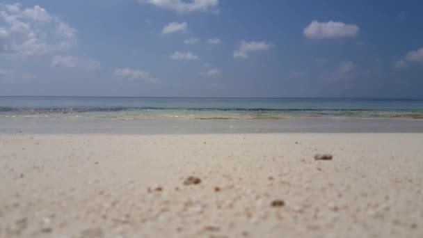 Blick Auf Die Ruhige Küste Sommerreise Nach Antigua — Stockvideo