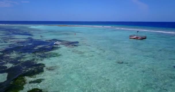 パントンと海藻を振って浅い水 インドネシアのバリへのエキゾチックな夏の旅 — ストック動画