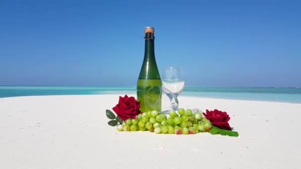 Romantisk Picknick Med Champane Druvor Och Röda Rosor Tropiska Stranden — Stockvideo