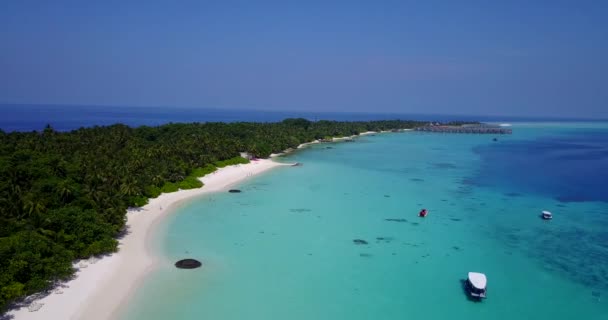 Jasne Słońce Tropikalnej Wyspie Natura Bali Indonezja — Wideo stockowe