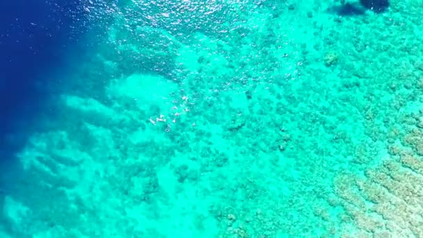 Vista Aérea Paisagem Tropical Mar Azul Austrália Oceania — Vídeo de Stock