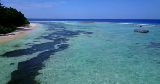Flaches Wasser Mit Algen Boden Sommerreise Nach Australien — Stockvideo
