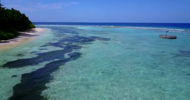 Grunt Vatten Med Tång Botten Sommarresa Till Australien — Stockvideo