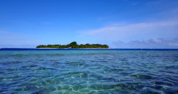 Spokojna Tropikalna Wyspa Ciągu Dnia Egzotyczny Charakter Dominikany Karaibów — Wideo stockowe