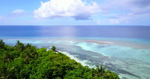 Tropische Insel Aus Der Luft Erstaunliche Natur Der Dominikanischen Republik — Stockvideo