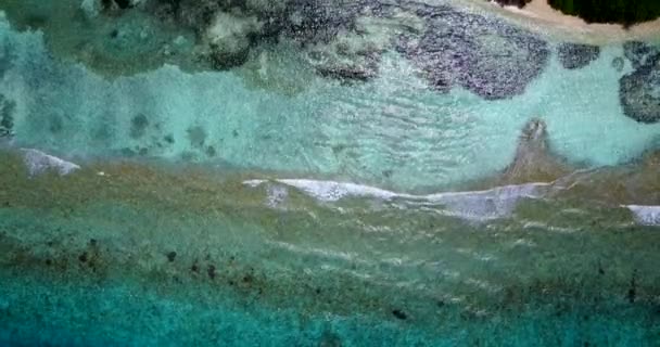 Deniz Dibi Sığ Sularda Görünüyor Endonezya Bali Deki Doğa Manzarası — Stok video