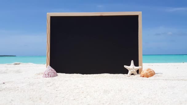 Blackboard Copy Space Seashells Tropical Island — Stock Video