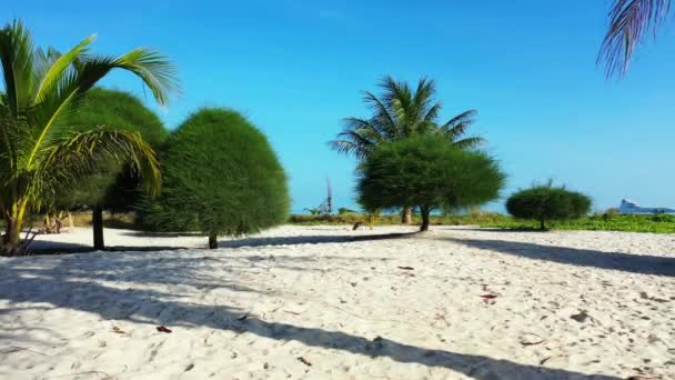 晴れた海岸線の景色 バリ島の自然景観 インドネシア — ストック動画