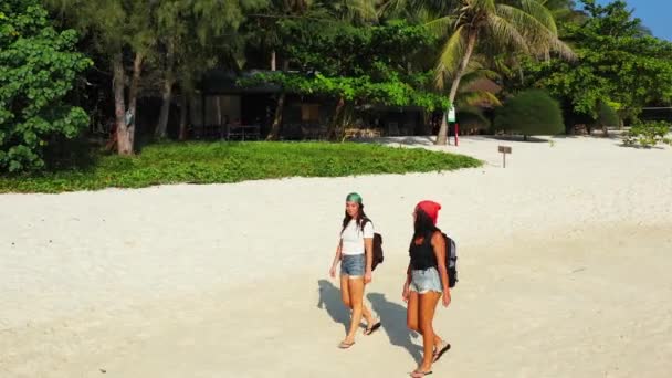 Imágenes Arriba Dos Amigas Caminando Por Playa — Vídeos de Stock